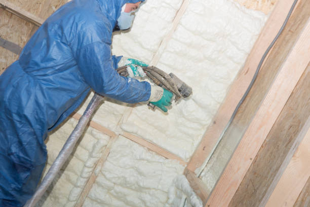 Best Crawl Space Insulation  in Brass Castle, NJ